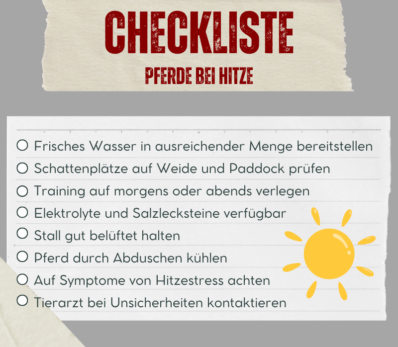 Checkliste bei Hitze