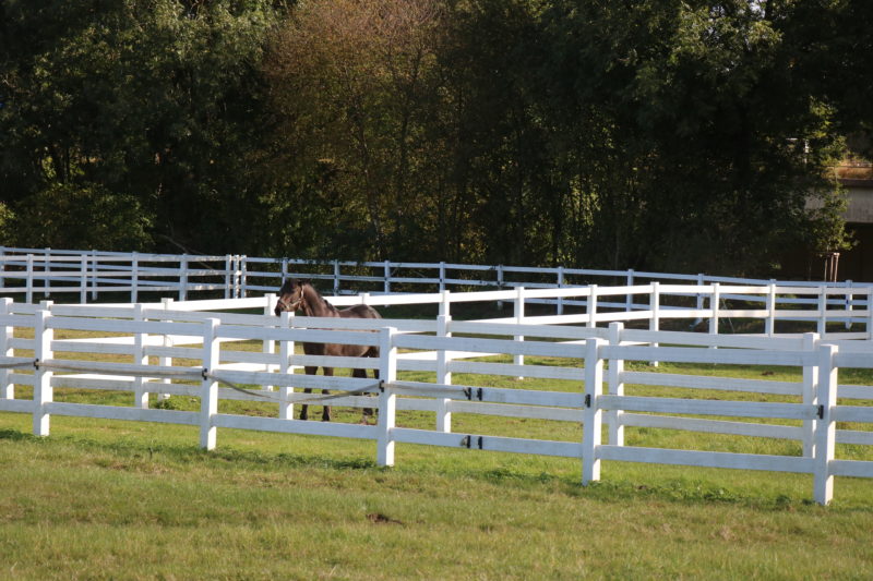 Koppelzaun Ranch