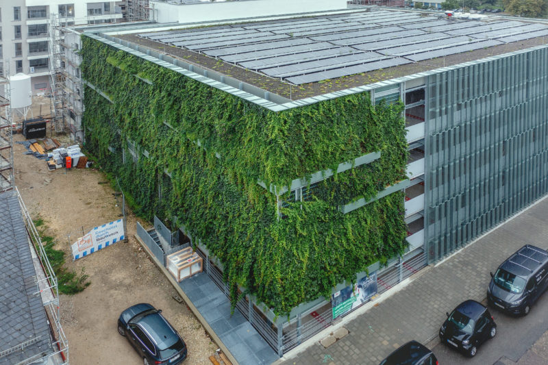 Fassadenbegrünung am Parkhaus in Bamberg