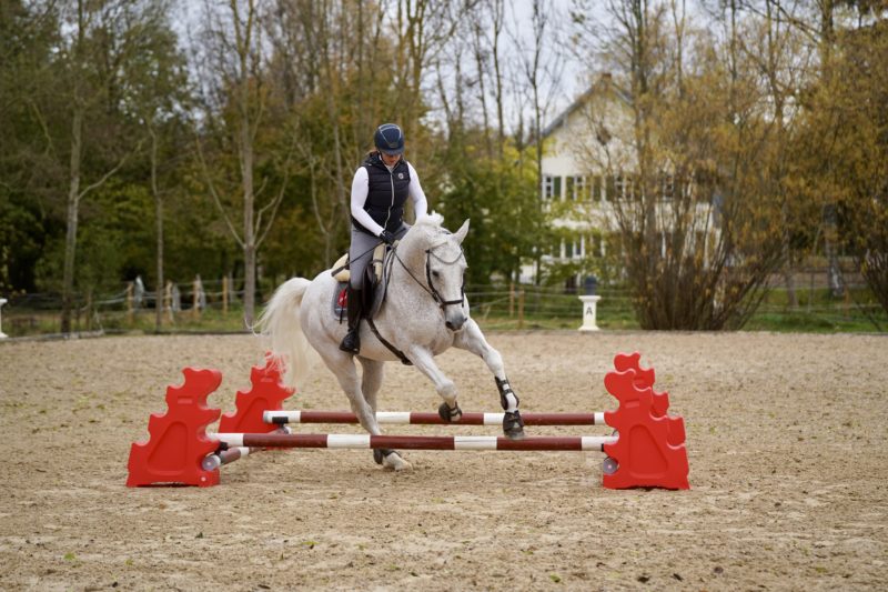 Eine Reiterin nutzt mit ihrem Schimmel Trainingszubehör auf dem Reitplatz, wobei 4 Stangen zu einem Quadrat angeordnet sind, an den Ecken steht jeweils ein Horseblock