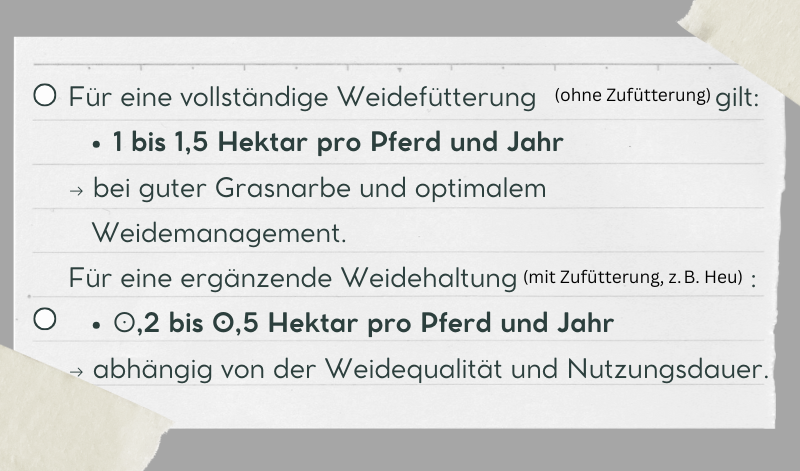 Diese Faustformeln helfen bei Berechnung der benötigten Weidefläche.
