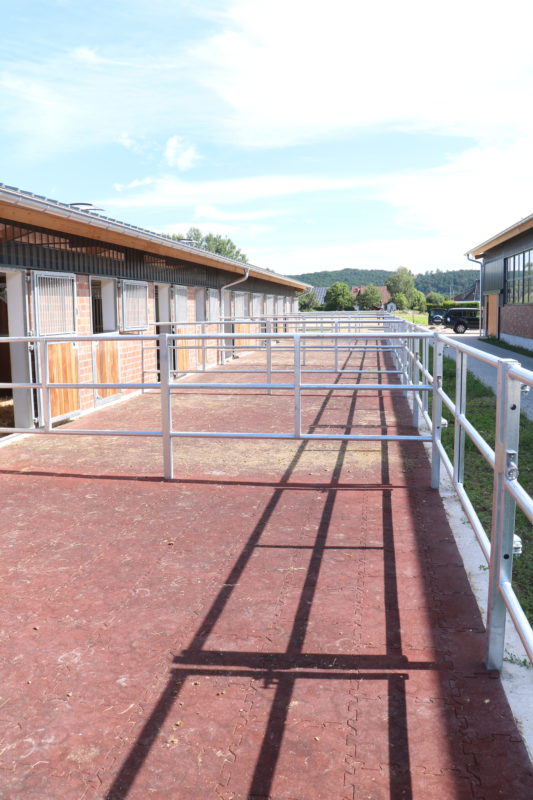 Ein einheitlicher Stallboden auf den Boxenpaddocks.