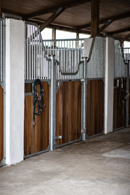 Blick auf eine Frontwand und weitere Boxen auf Betonboden. Ein gängiger Stallboden, auch in bestehenden Objekten.