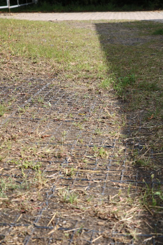 Paddockplatten mit Gras bewachsen stabilisieren den Parkplatz.