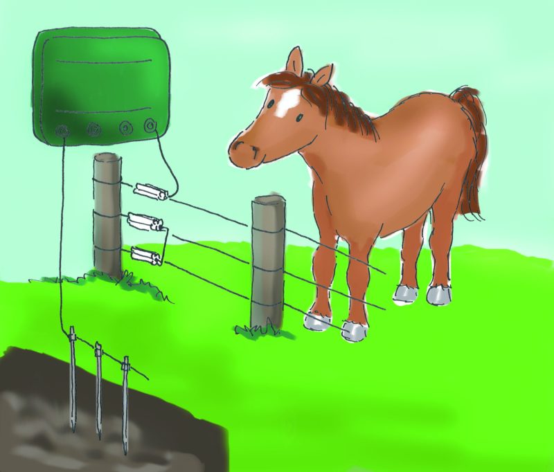 Ein Elektrozaun benötigt Erdung, über eine Erdzuleitung, damit der Stromkreis funktioniert.