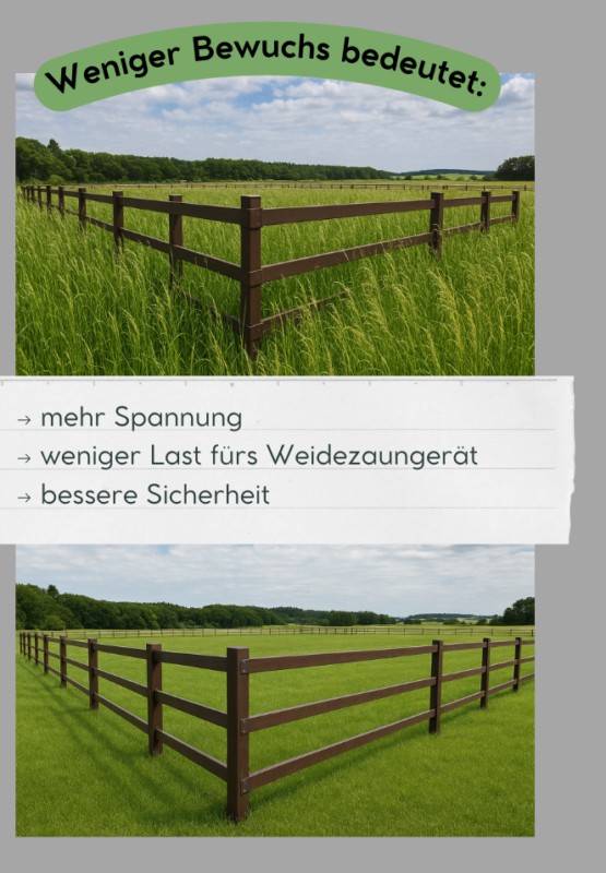 Was weniger Bewuchs bedeutet: Mehr Spannung, weniger Last fürs Weidezaungerät und bessere Sicherheit