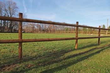 Zaunpfahl aus Holz