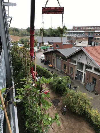 Fassadenbegrünung Parkhaus I/D Cologne - Köln