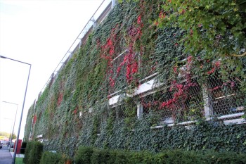 Fassadenbegrünung Parkhaus I/D Cologne - Köln