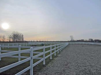 Reitplatz-Einzäunung