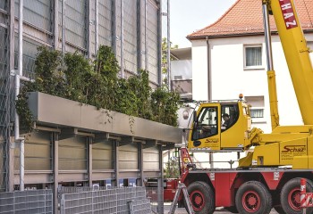 Fassadenbegrünung Parkhaus Lagarde Campus, Bamberg