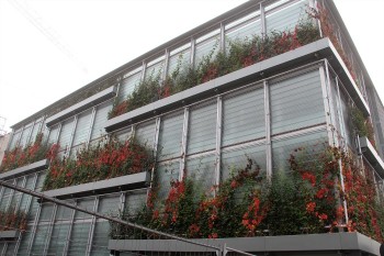 Fassadenbegrünung Parkhaus Lagarde Campus, Bamberg