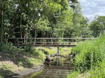 Brücke für die Ölbachaue