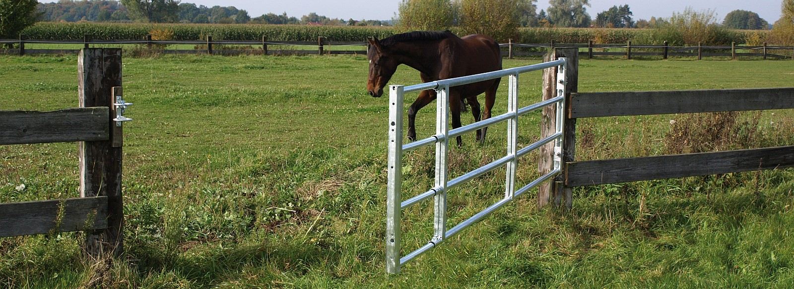 Weidetore Weidetore